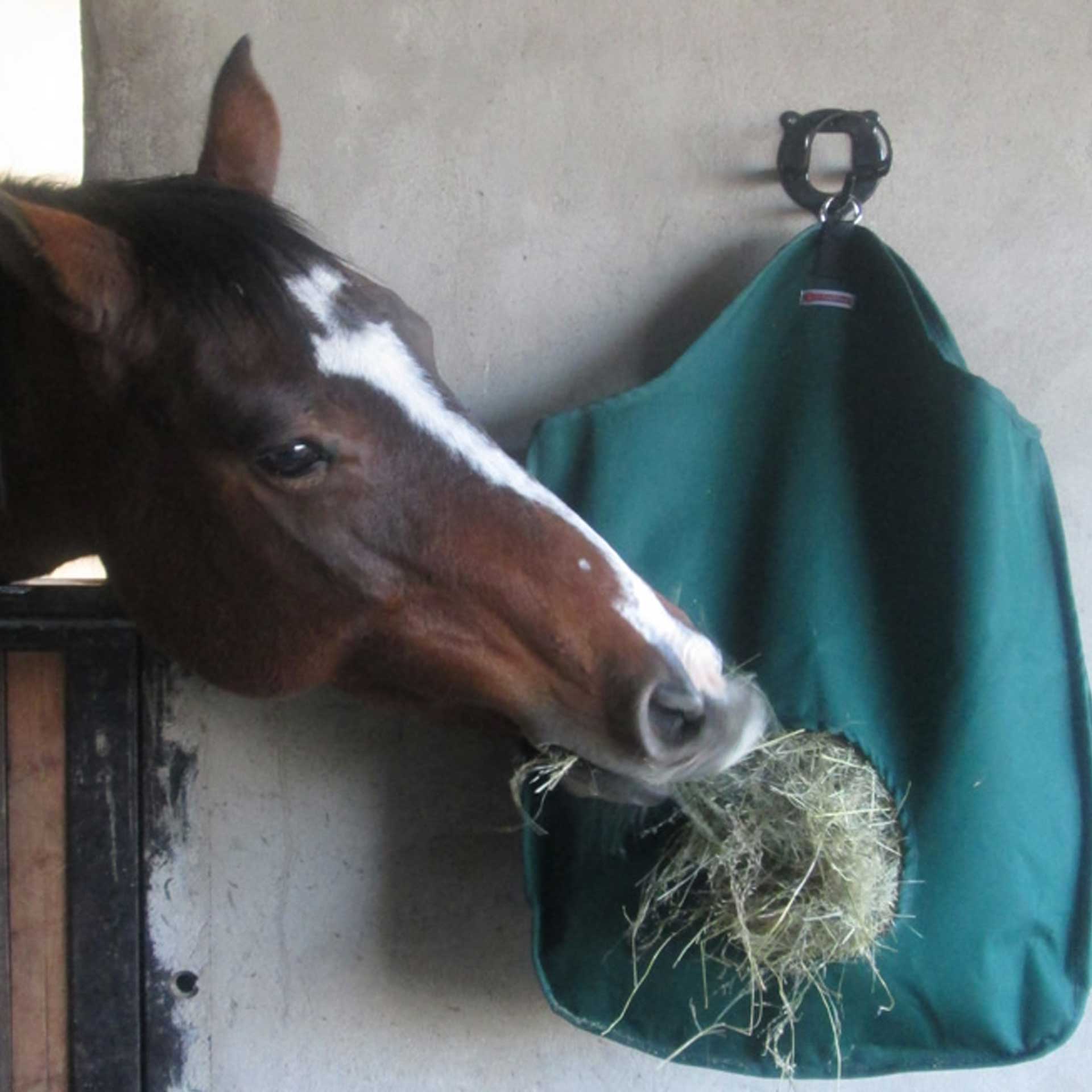 Hay Bag Solo